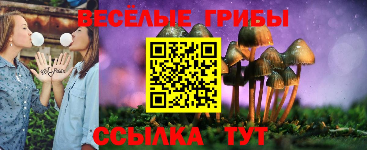 Кемерово  Псилоцибиновые грибы Magic Shrooms  Вход с VPN  Псилоцибиновые грибы Psilocybe 